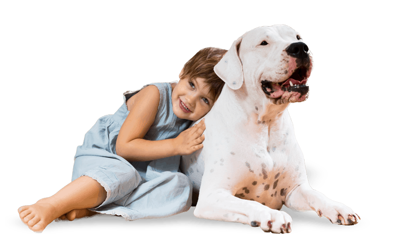 dog sitting girl during grooming